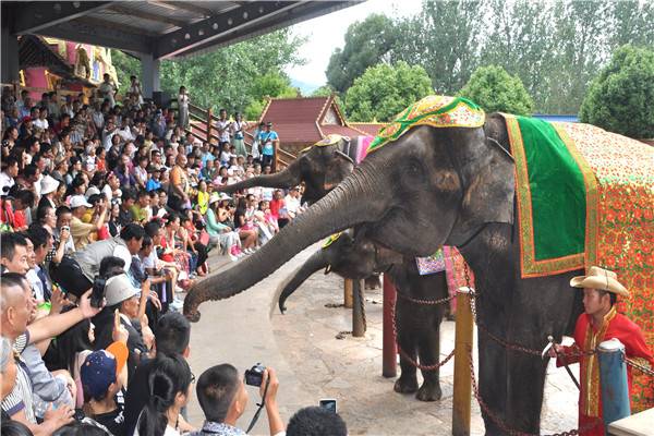云南民族村吉象表演场