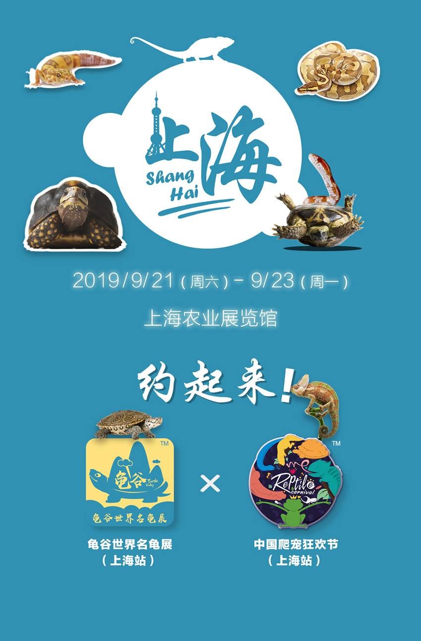 12-结尾.jpg